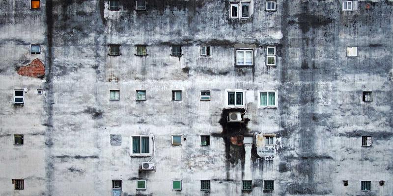 专为新手设计的年度园艺日历：每月关键任务与花卉推荐 | 植物养护与种植指南