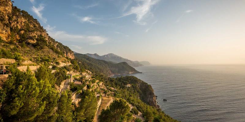 低维护花园设计：精选多年生花卉打造省心又美丽的庭院景观