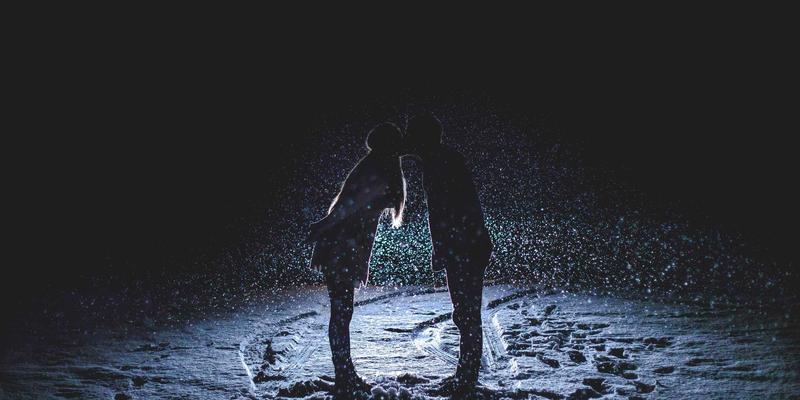 兰花专业培育技术：温湿度控制与花期调控实践指南