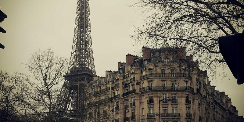 千叶FG：专业园艺平台如何重塑现代花卉园艺体验