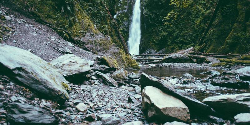 千叶FG专业指南：球根植物规划与种植时间表，实现春季爆花奇迹
