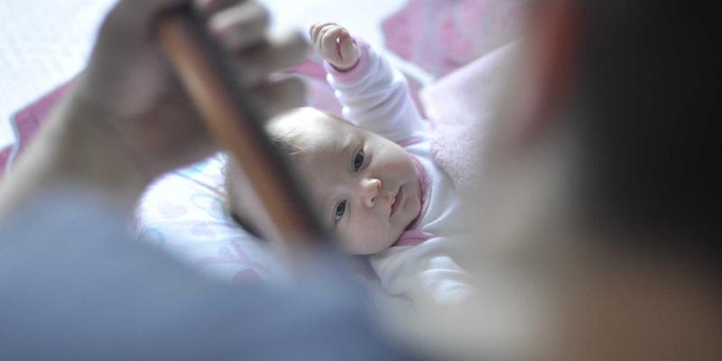 千叶FG：专业花卉园艺平台如何重塑现代园艺体验