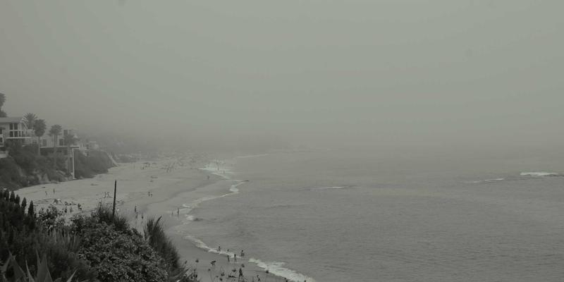 千叶FG园艺平台：从新手到高手的完整种植指南