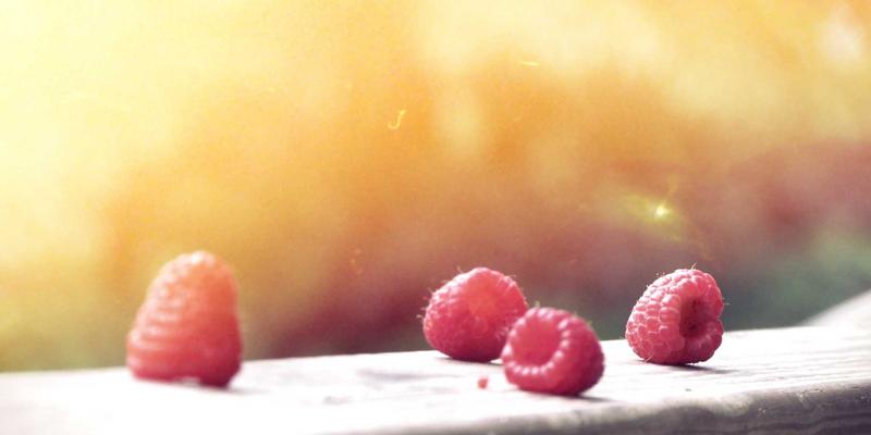 千叶FG园艺平台推荐：低维护多年生花卉选择与搭配，打造四季有景的懒人花园