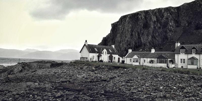 千叶FG智能园艺设备深度评测：自动浇水、补光与土壤监测系统如何革新花卉园艺与植物养护