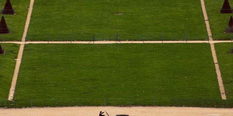 千叶FG植物养护全攻略：从种植指南到日常管理的园艺秘诀