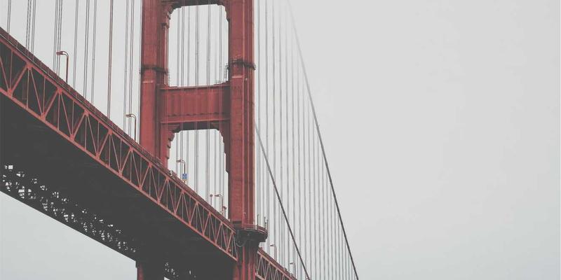 在园艺平台学习植物养护：打造英式乡村花园的核心要素与经典植物搭配指南