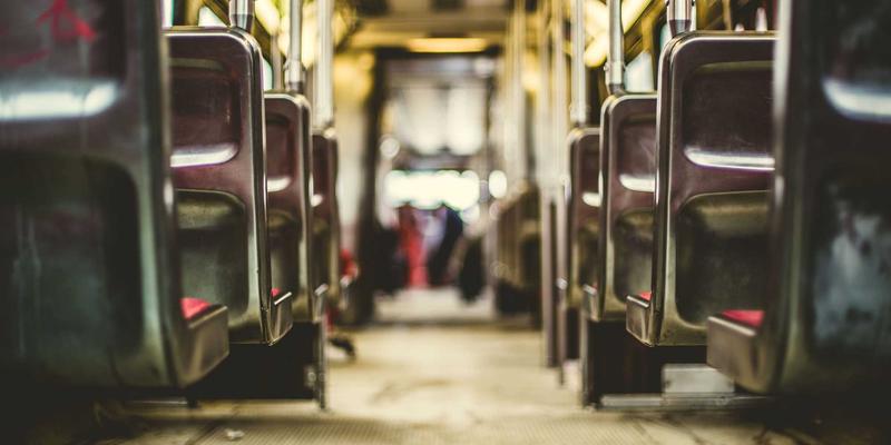 城市屋顶农场规划指南：利用千叶FG园艺平台实现花卉与蔬菜的共生种植