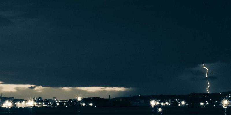 多肉植物造景艺术：从创意拼盘到微景观的完整种植指南