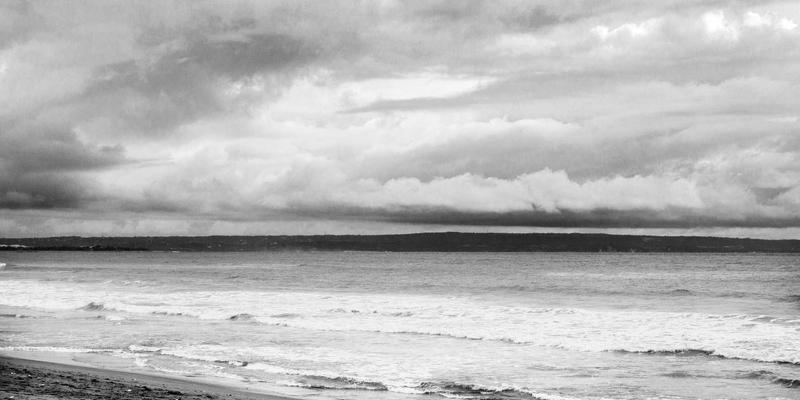 干旱地区节水园艺指南：精选耐旱花卉与高效灌溉系统设置