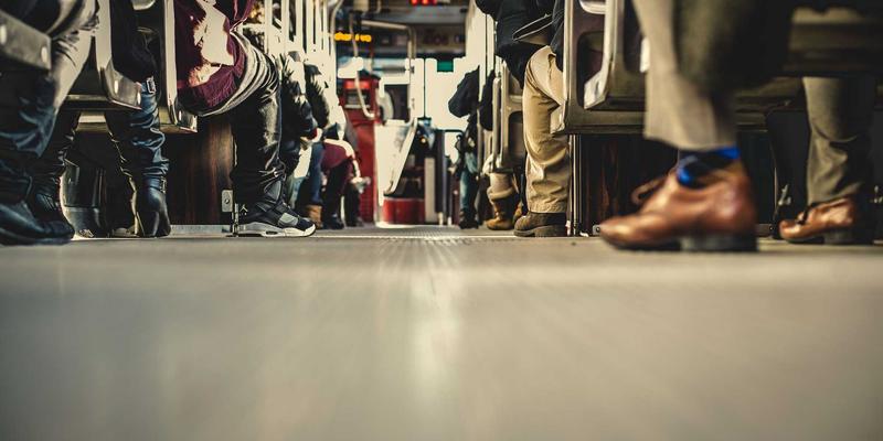 干旱地区花卉园艺指南：精选耐旱植物与高效滴灌系统布置策略