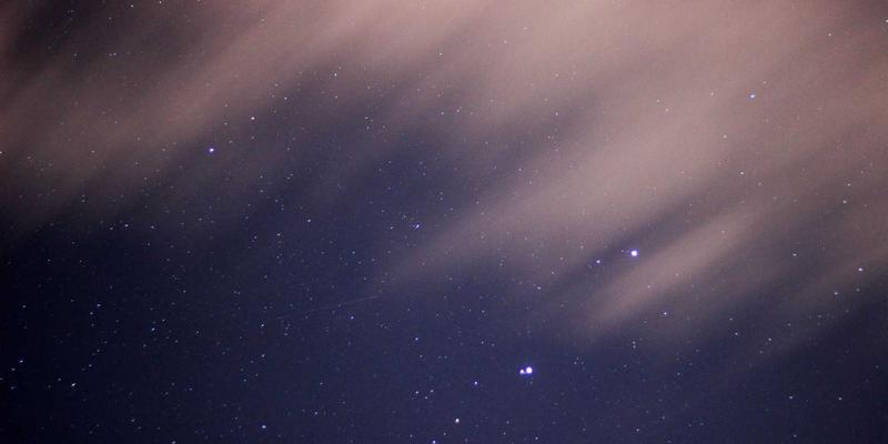 干燥花制作与保存艺术：植物养护与花卉园艺的永恒之美