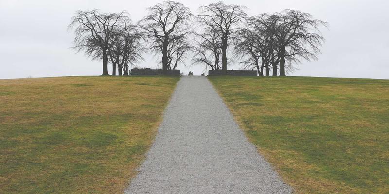 打造四季有花的英式乡村花园：花卉园艺与种植指南