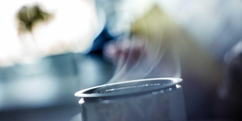 月季花种植指南：病虫害防治与日常养护全攻略，打造千叶FG般的完美花园