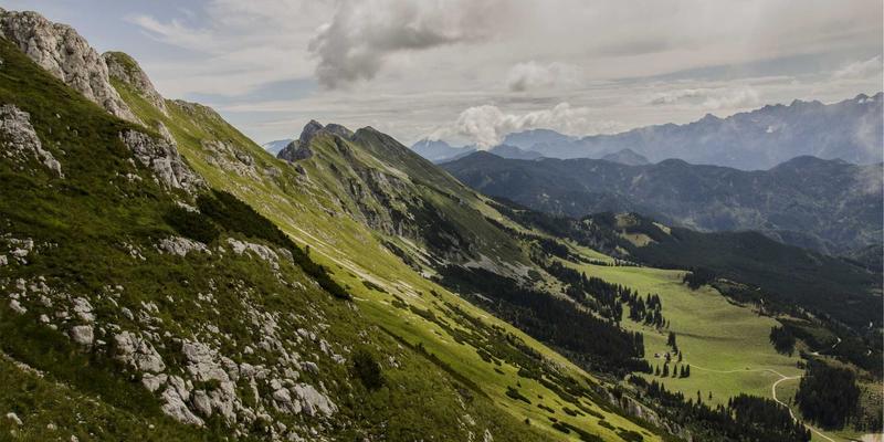 植物养护新纪元：千叶FG技术如何重塑现代花卉园艺