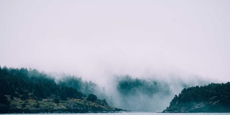 水培花卉技术详解与适合水培的植物清单 | 千叶FG园艺平台