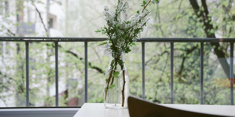 球根花卉复壮与储藏完全指南：让郁金香、风信子年年复花的园艺秘诀