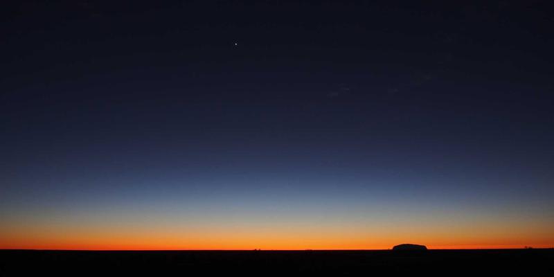 盆栽茶花跨年度养护指南：花后修剪与夏季遮阴核心要点解析