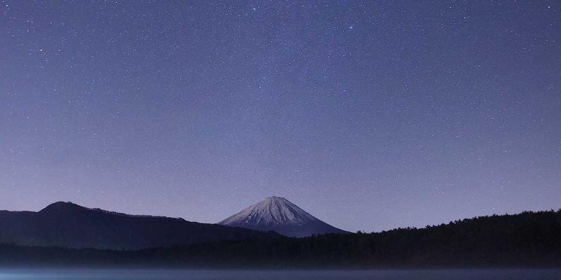 花卉园艺20：数字化时代下的园艺新生态与千叶FG平台创新实践