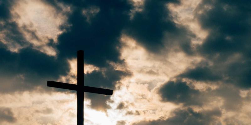 花卉园艺36：专业园艺平台如何赋能现代园艺爱好者