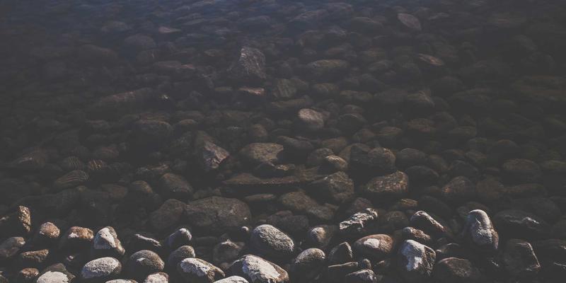 花卉园艺54：从新手到专家的数字化园艺平台指南