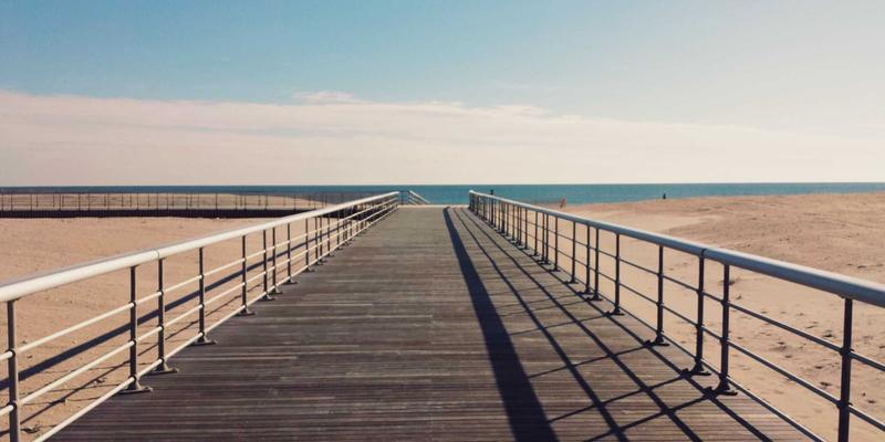 花卉园艺58：打造您的专属园艺平台，从植物养护到种植指南一站式掌握