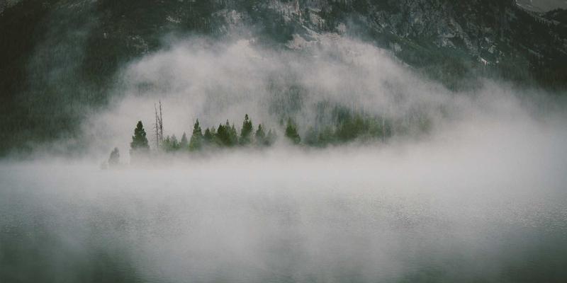 花卉园艺83：从植物养护到千叶FG的园艺进阶指南