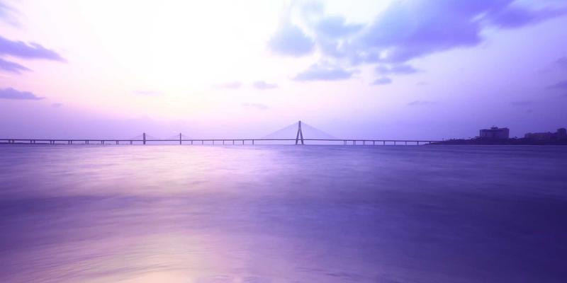 花卉园艺完全指南：从植物养护到四季种植的实践技巧