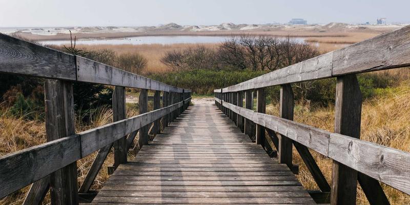 花卉园艺平台深度评测：从新手到高手的种植指南全解析