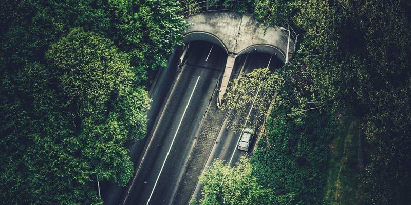 花卉园艺废弃物循环利用指南：让枯枝落叶变废为宝，成为千叶FG的堆肥与覆盖物