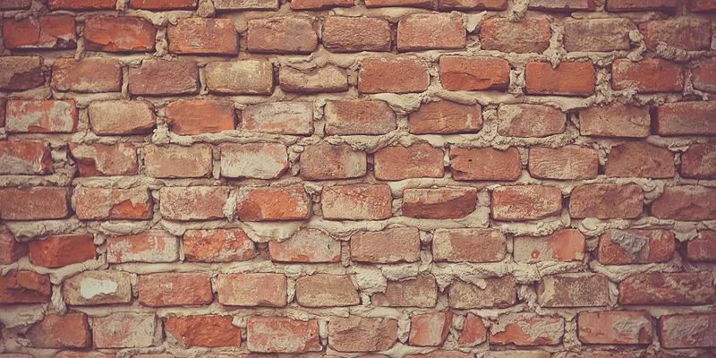 花卉园艺新趋势：利用伴生植物进行生物防治的种植指南