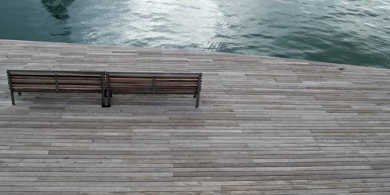 花卉摄影技巧入门：结合种植指南与植物养护，用手机拍出专业级花园美景