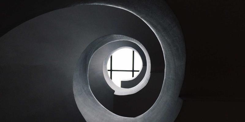 花卉摄影技巧：如何拍出令人惊艳的植物照片 | 园艺平台专业指南