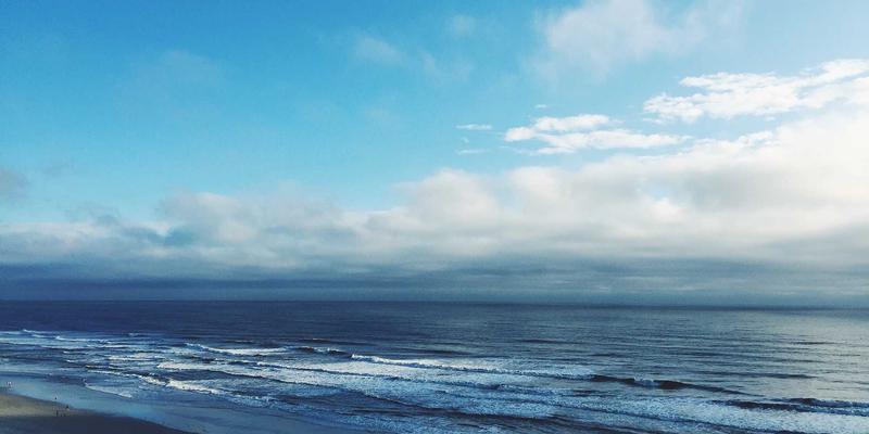 花园照明设计技巧：如何用灯光突出植物夜间美感 | 园艺平台专业种植指南