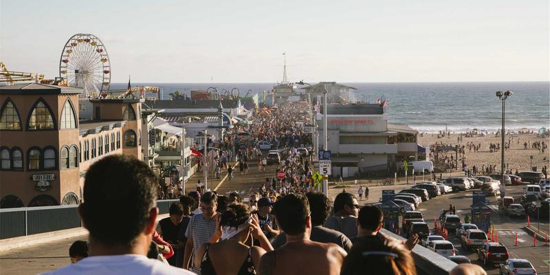 芳香疗法花园植物精选：兼具观赏与舒缓功效的香花植物种植指南