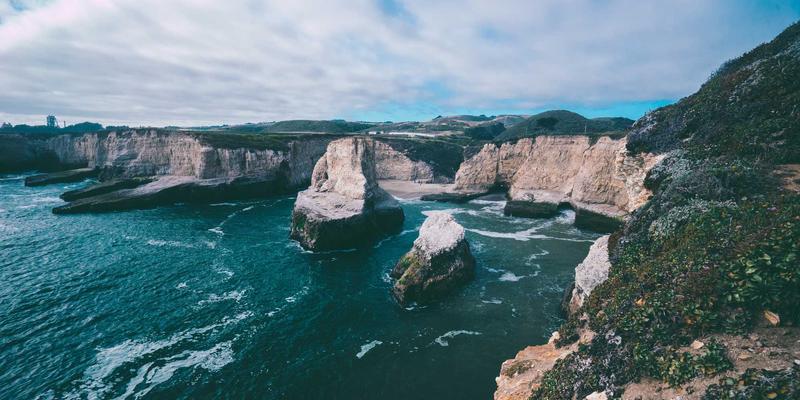 香草花园种植与应用全指南：解锁花卉园艺的烹饪与药用宝藏